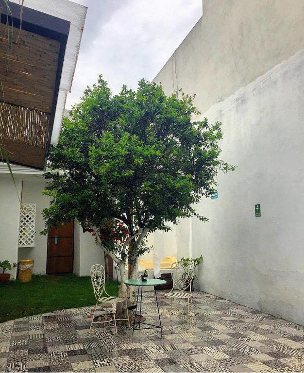 Hoja Santa Hostal Boutique Cholula Exterior photo
